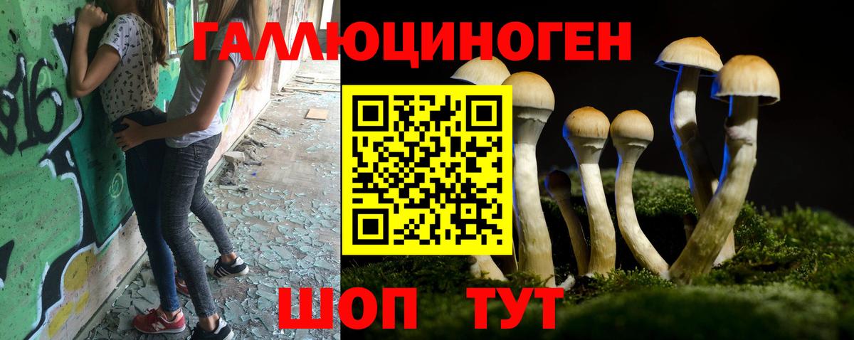 Изобильный  Псилоцибиновые грибы Magic Shrooms  Вход с VPN 