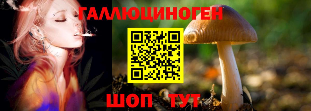 Галлюциногенные грибы ЛСД Изобильный